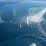 antigraviynoe pokrytie dlya stekol chto eto i zachem nuzhno 1